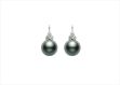 White Gold Plated | Pearl Earrings