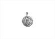 White Gold Plated | Mens Pendants