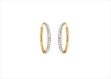 Gold Plated | CZ Studded Hoop Earrings