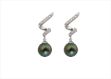 White Gold Plated | CZ Studded Hoop Earrings