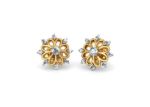 Gold Plated | Cubic Zirconia Set Stud Earrings