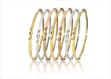 Three Tone Plated CZ Studded 7 Days Semanario Bangles