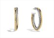 Two Tone Plated Twisted Wire Hoop Earring