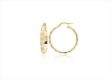 Three Tone Plated Seminario Earring