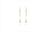 Gold & Silver Earrings