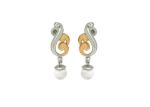 Festive Wear Earrings