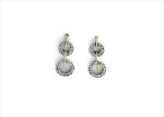 Elegant Dual Tone Earrings