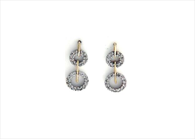 Elegant Dual Tone Earrings