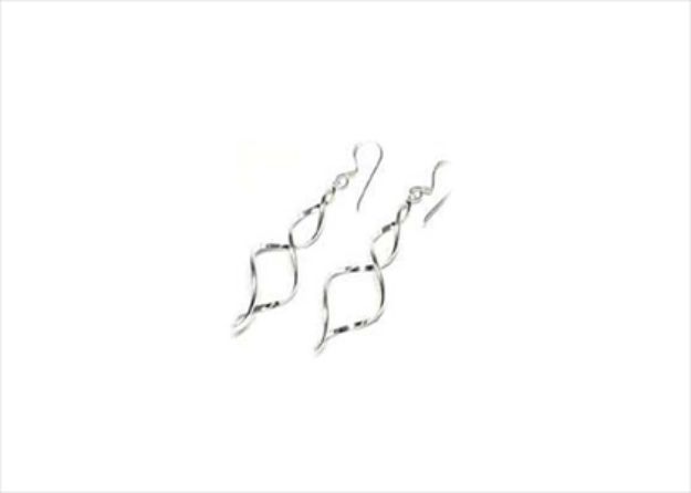 Elegant Silver Earrings