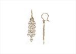 Elegant Dual Tone Earrings