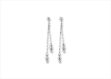 Elegant Silver Earrings