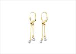 Elegant Dual Tone Earrings