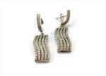 Elegant Silver Earrings