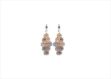 Elegant Dual Tone Earrings