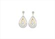 Elegant Dual Tone Earrings