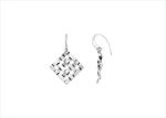 Elegant Silver Earrings