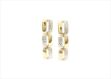 Elegant Dual Tone Earrings