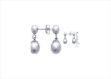 Elegant Silver Earrings