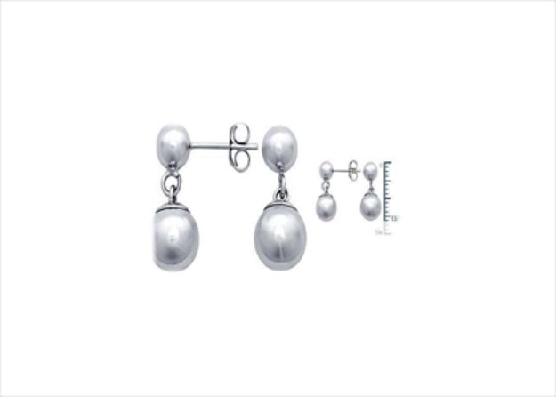 Elegant Silver Earrings
