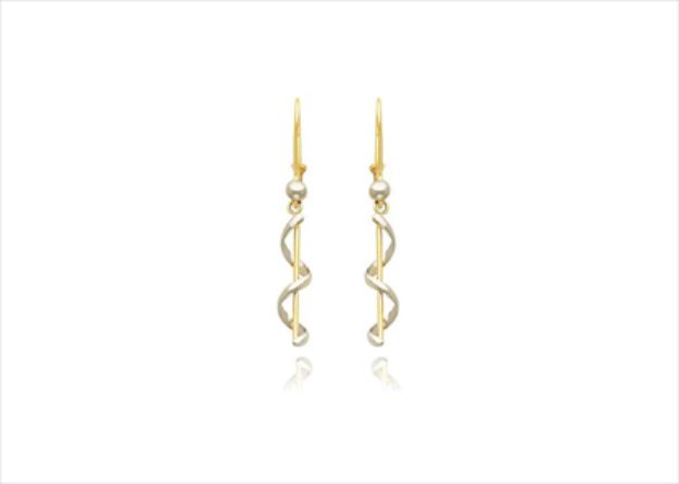 Elegant Dual Tone Earrings