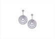 Elegant Silver Earrings