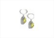 Elegant Silver Earrings