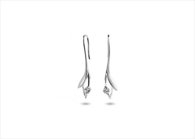 Elegant Silver Earrings