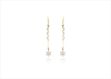 Elegant Dual Tone Earrings