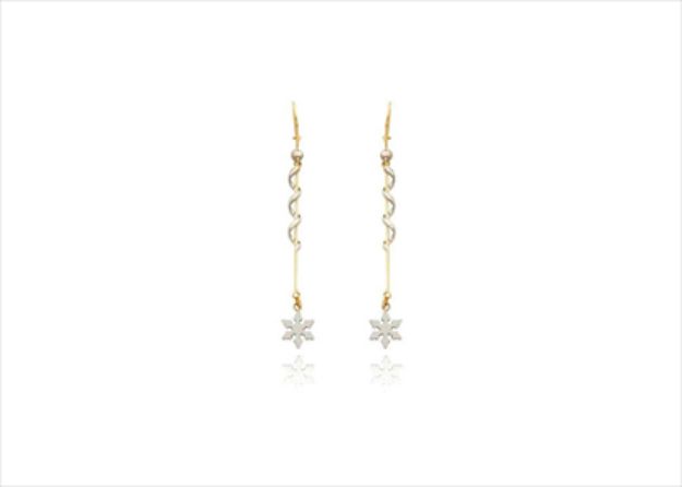 Elegant Dual Tone Earrings