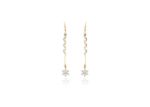 Long Drop Earrings