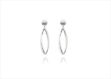 Elegant White Gold Earrings
