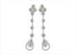 Elegant Silver Earrings