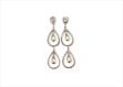 Elegant Silver Earrings