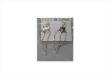 Chandelier Earrings for Women