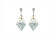 Elegant Dual Tone Earrings