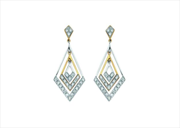 Elegant Dual Tone Earrings