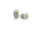 Elegant Two Tone Earrings