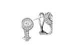 Elegant Silver Earrings