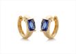 Gold Plated Gemstone Hoop Earring