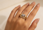 animal ring elephant