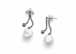 rhodium plated earrings